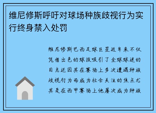 维尼修斯呼吁对球场种族歧视行为实行终身禁入处罚
