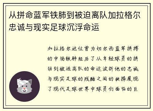 从拼命蓝军铁肺到被迫离队加拉格尔忠诚与现实足球沉浮命运 从拼命蓝军铁肺到被迫离队加拉格尔忠诚与现实足球沉浮命运